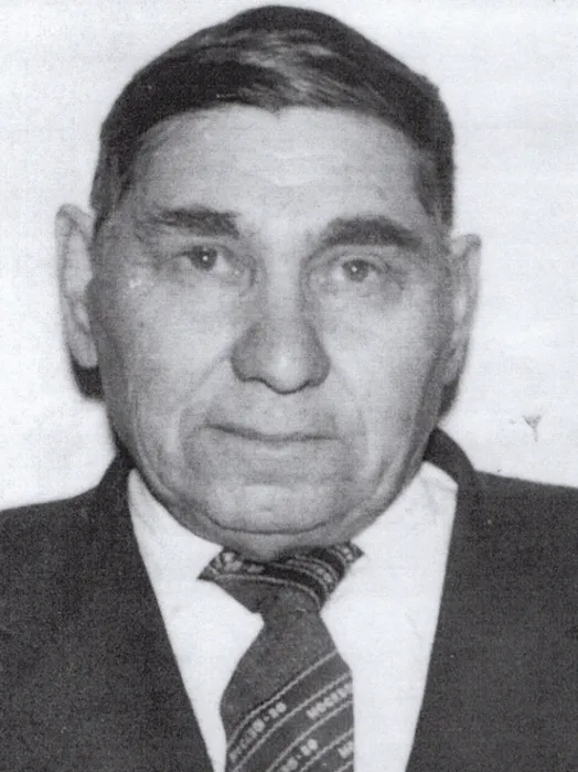 Плотников