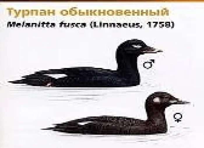 d26f2c_caff6103b28245d6816a1e4af0eb1b96_mv2